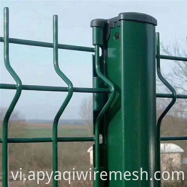 YQ Factory Price Powder Vườn tráng Curved 3D v Bend Welded Wire Fence